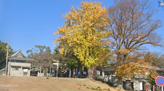 �p���_��