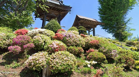 ���莛�̉摜