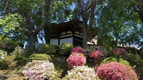 ���莛�̉摜