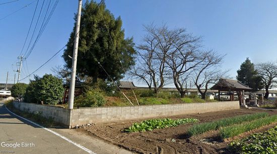 �S�����̉摜