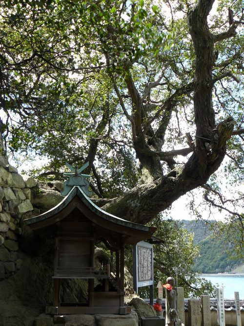 �֑䎛�i�����e�ω��j