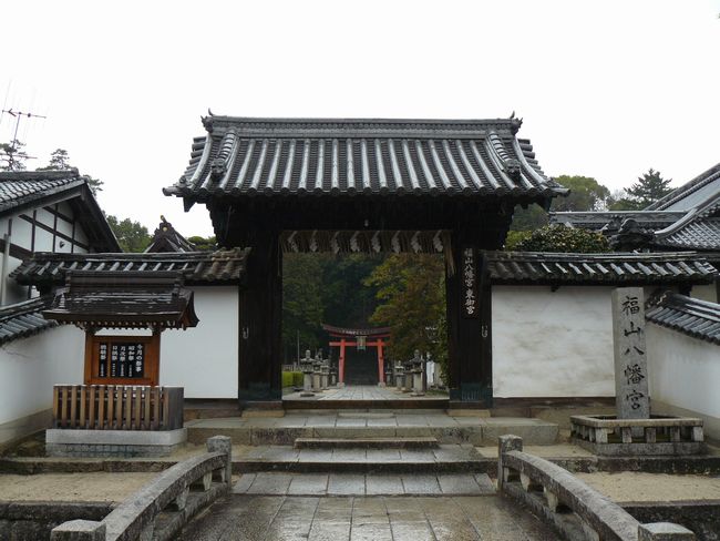 ���R�����{����{