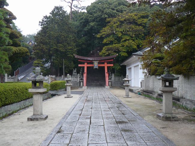 ���R�����{����{