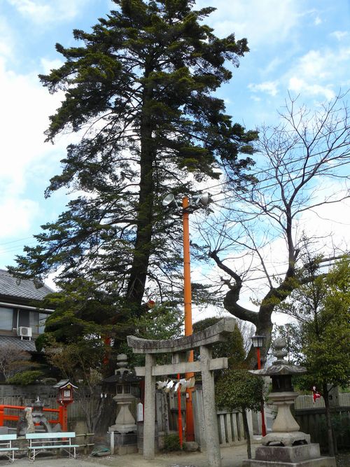 ���ˈ�א_��