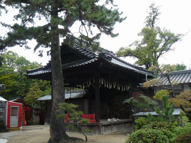 �O����א_��