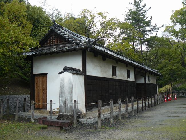 �������ƒ�����