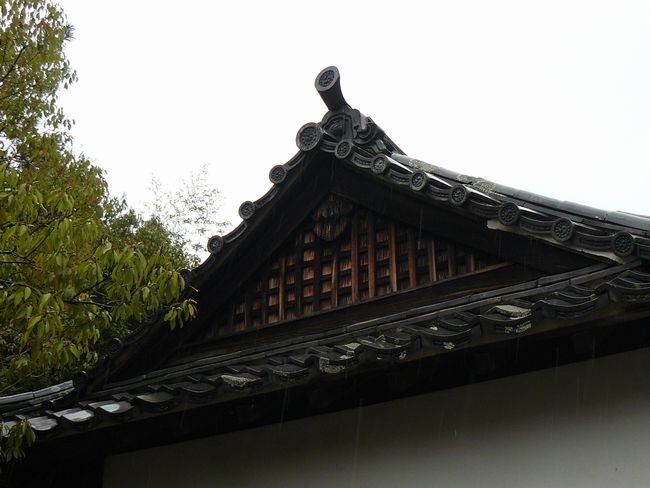 �������ƒ�����