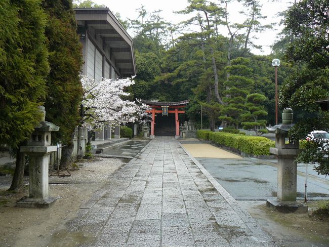 ���R�����{����{