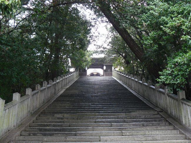 ���R�����{����{