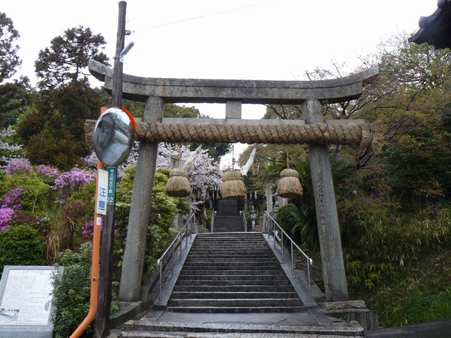 ���������_��