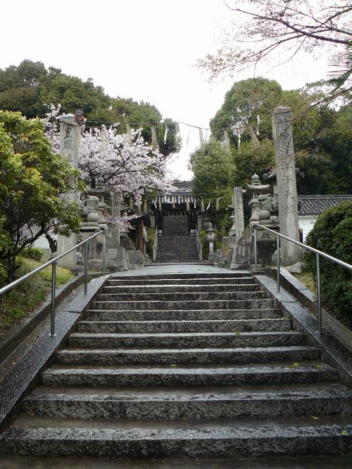 ���������_��