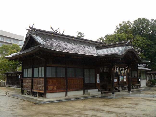 ���������_��