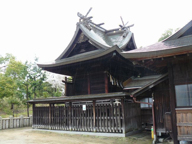 ���������_��