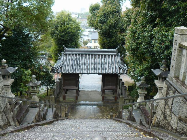 ���������_��