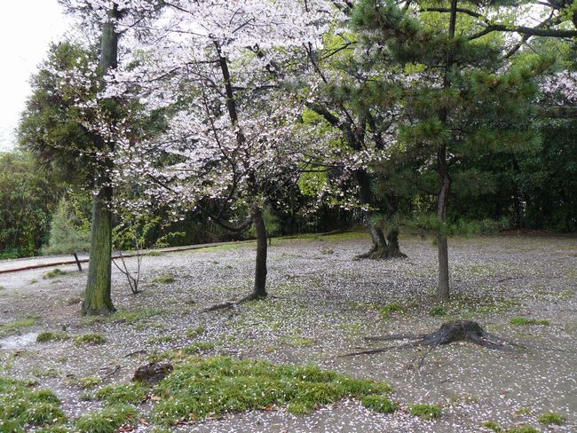 ���������_��