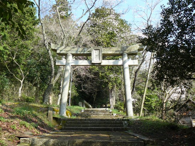 �T�R�����{