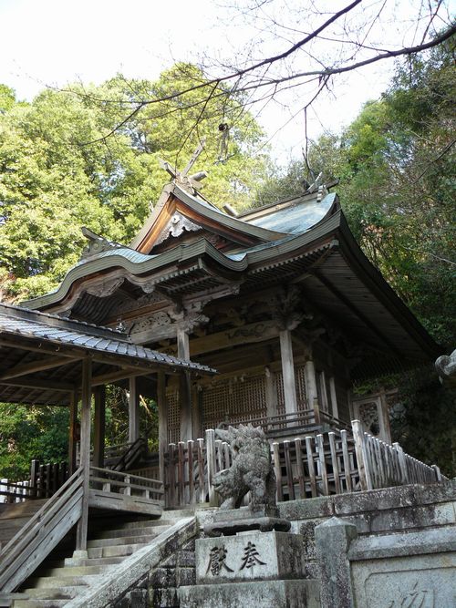 �T�R�����{