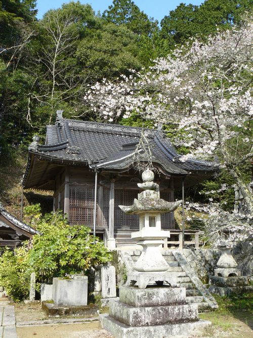 �T�R�����{