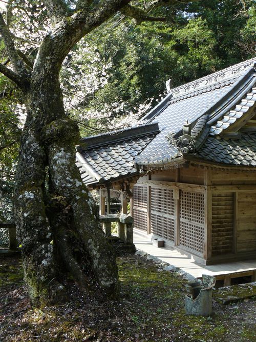 �T�R�����{