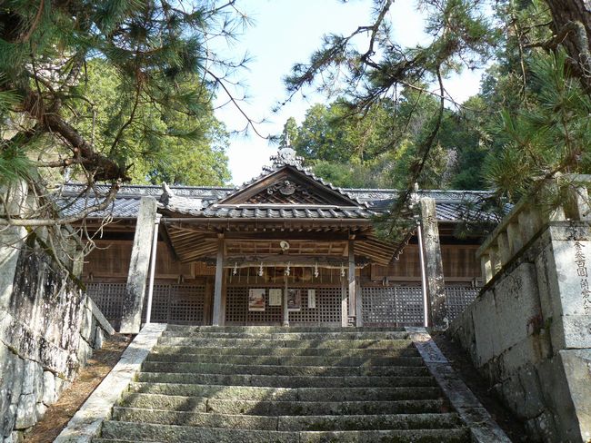 �T�R�����{