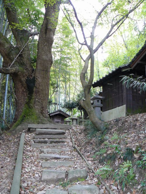 �����R�̕�