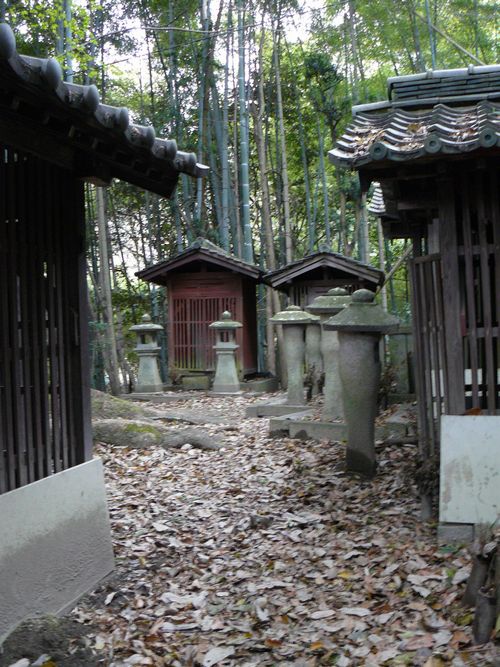 �����R�̕�