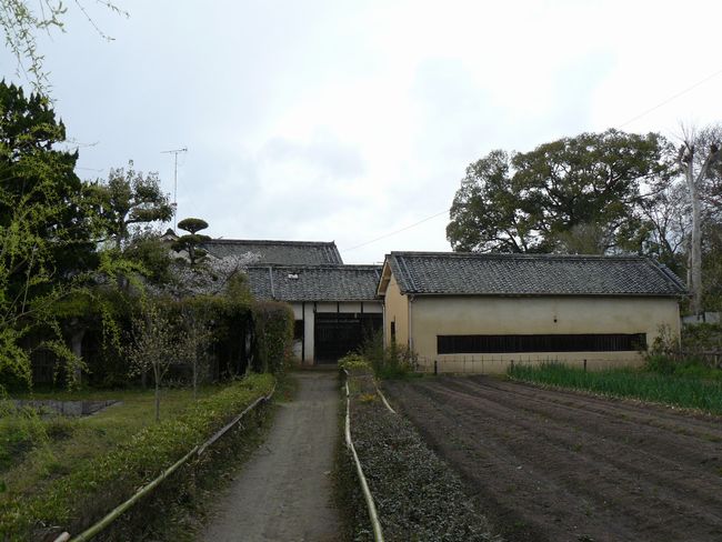 ���m�Ȃ�тɐ����R����