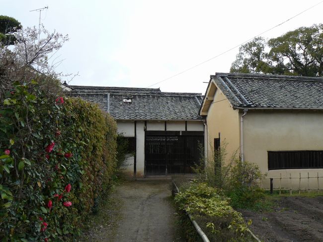 ���m�Ȃ�тɐ����R����