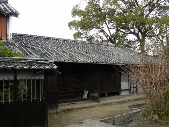 ���m�Ȃ�тɐ����R����