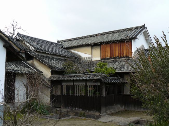 ���m�Ȃ�тɐ����R����