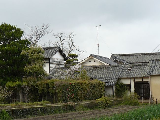 ���m�Ȃ�тɐ����R����