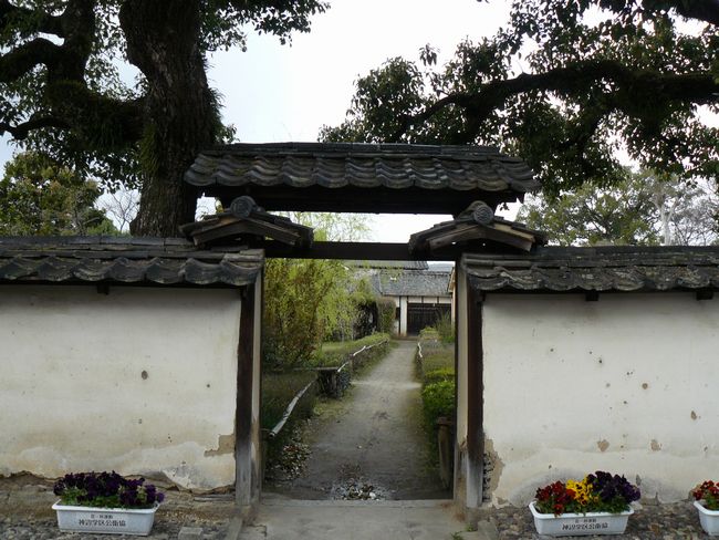 ���m�Ȃ�тɐ����R����