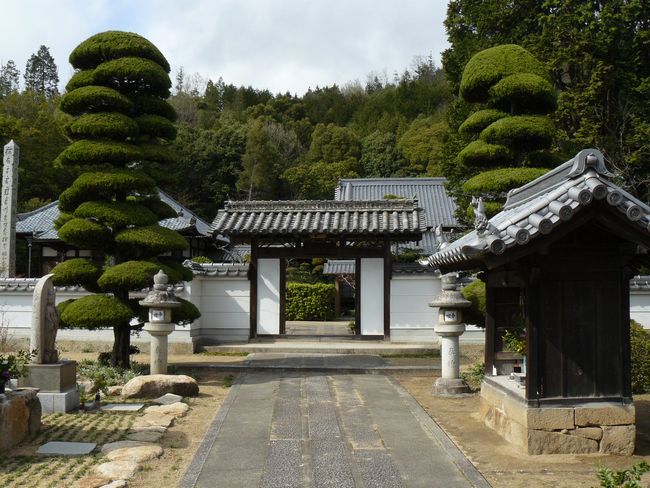 ���㍑����