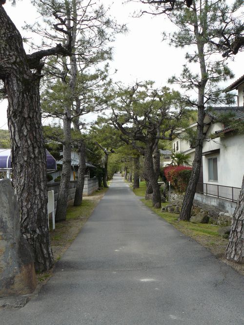 ���㍑����