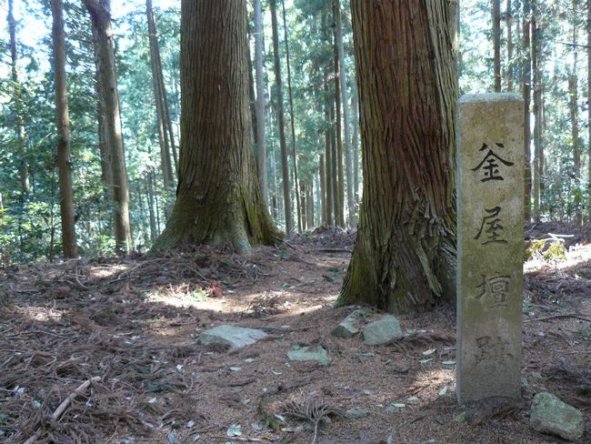 �����̒h��