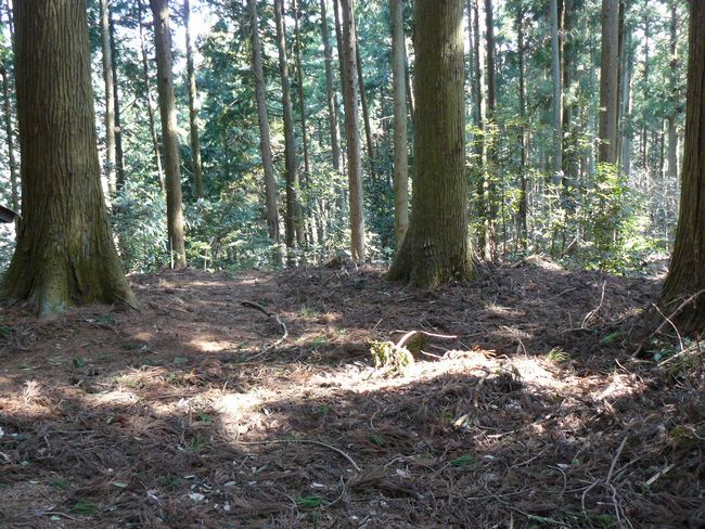 �����̒h��