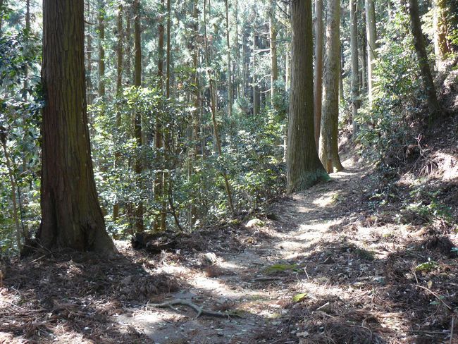 �����̒h��