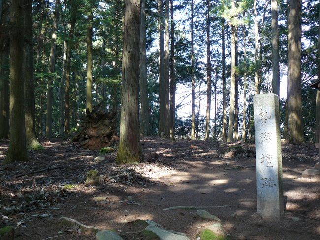 �����̒h��