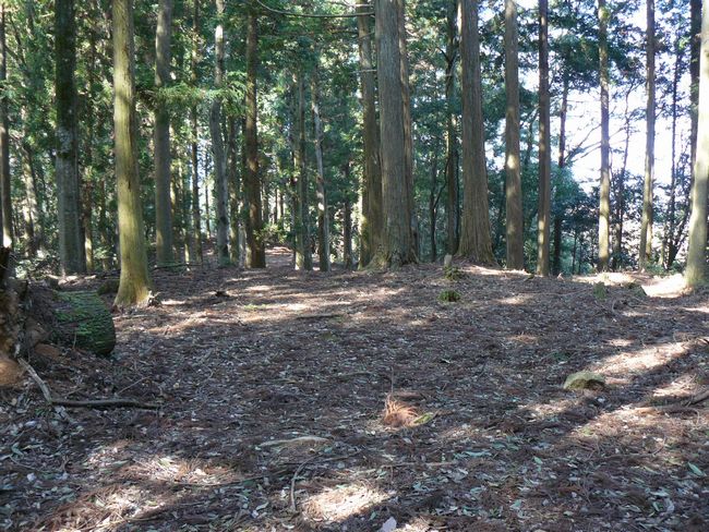 �����̒h��