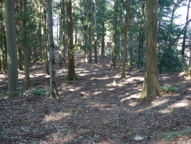 �����̒h��