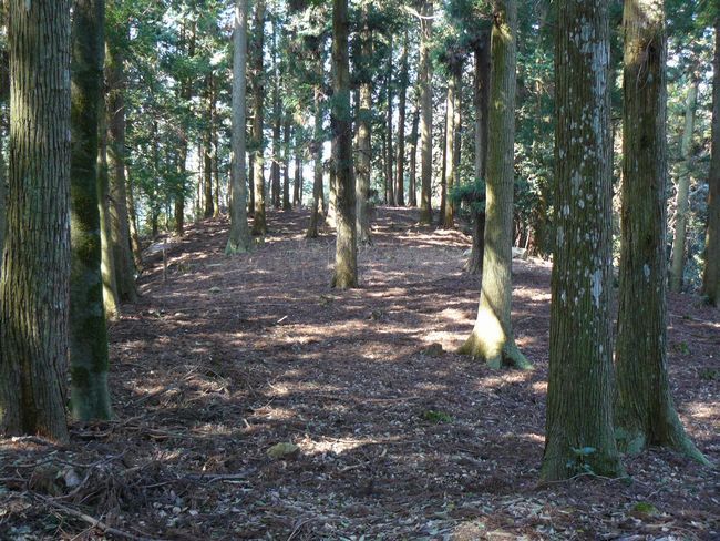 �����̒h��