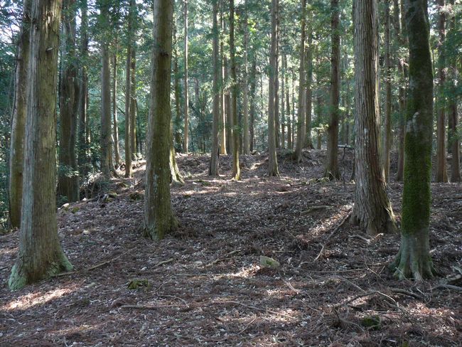 �����̒h��