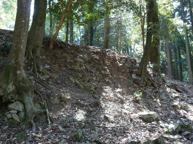 �䑠���~��