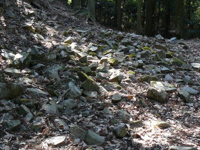 �䑠���~��