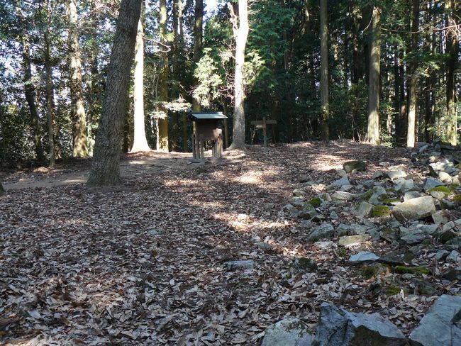 �䑠���~��