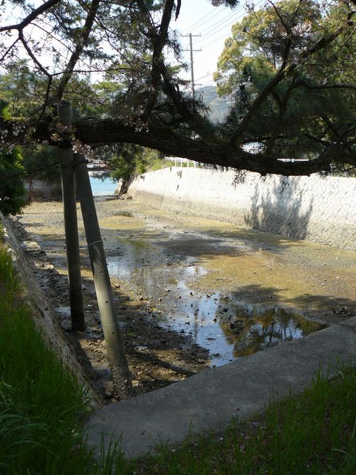 �j�l�h�b�N��