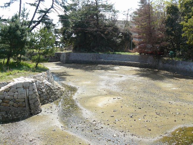 �j�l�h�b�N��