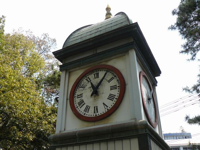 �����C�R�H�������v