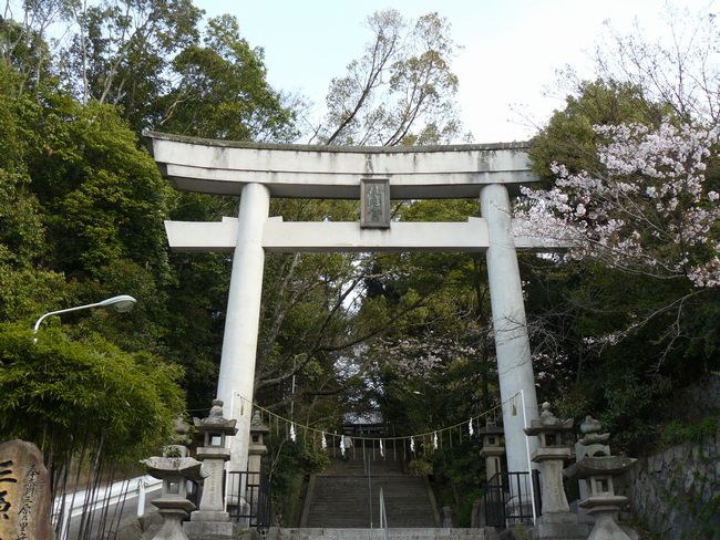 �O�������{