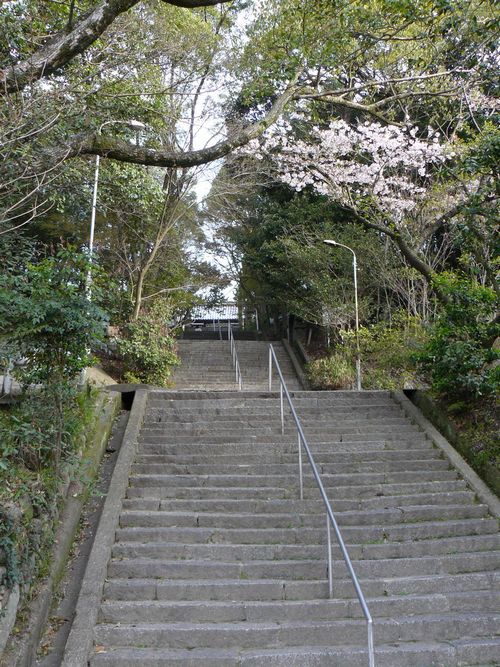 �O�������{